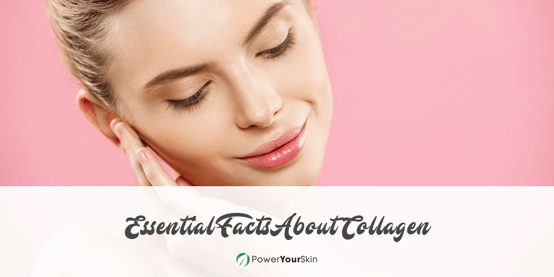 Essential Facts About Collagen